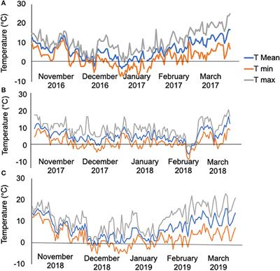 SNP Alleles Associated With Low Bolting Tendency in Sugar Beet